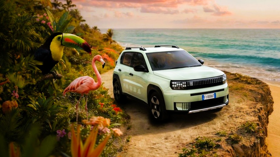 Fiat Grande Panda su strada panoramica costiera con paesaggio tropicale