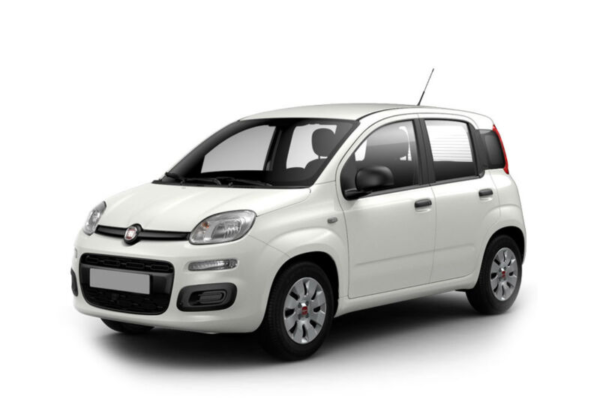 FIA9VJV_CUSTOM_1643294781 fiat-panda-van
